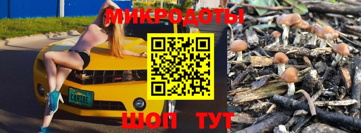 Соль-Илецк  наркошоп  Вход с VPN  Галлюциногенные грибы Psilocybine cubensis 